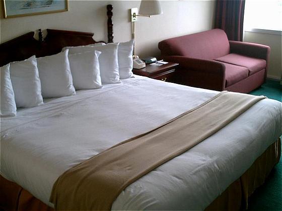 Econo Lodge Inn & Suites Triadelphia - Wheeling Phòng bức ảnh